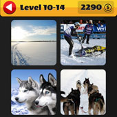  Dogsled 