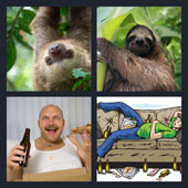  Sloth 