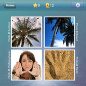  Palm 