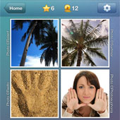  Palm 